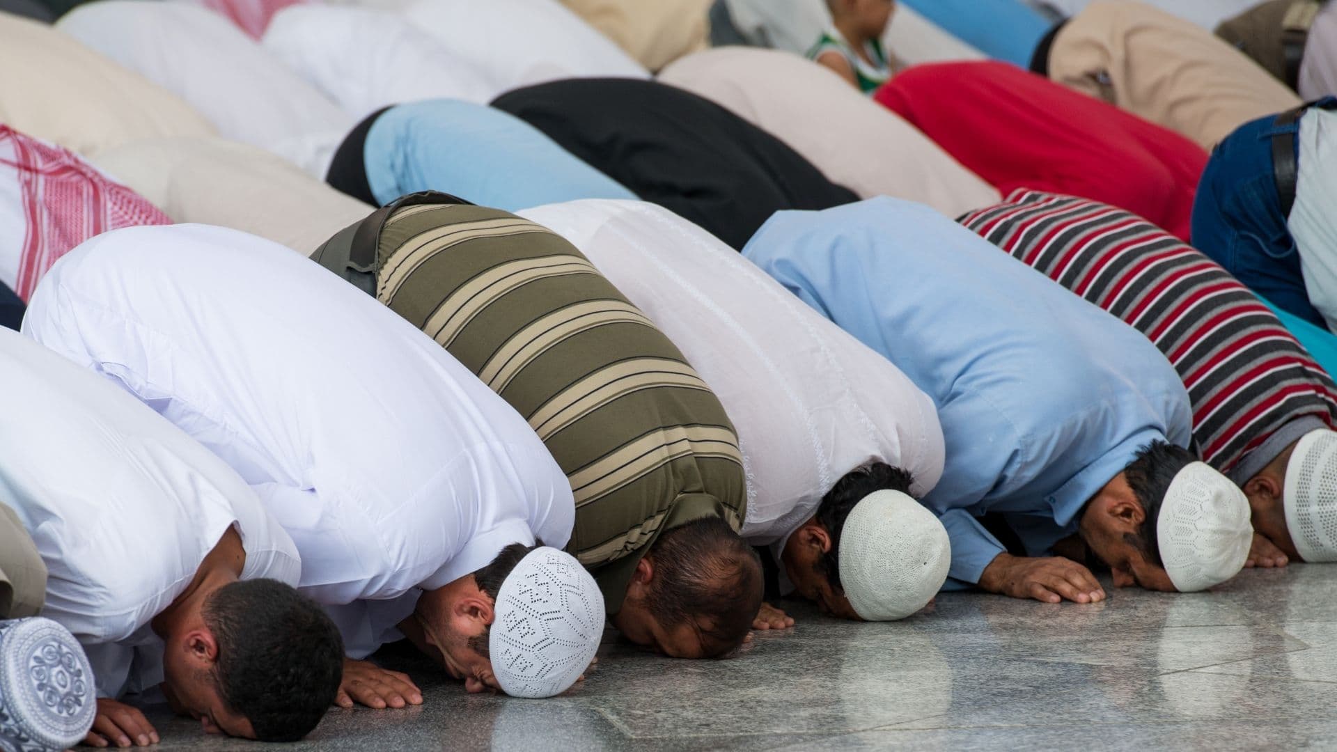 Kyllingene som ikke tør å stå opp mot islam